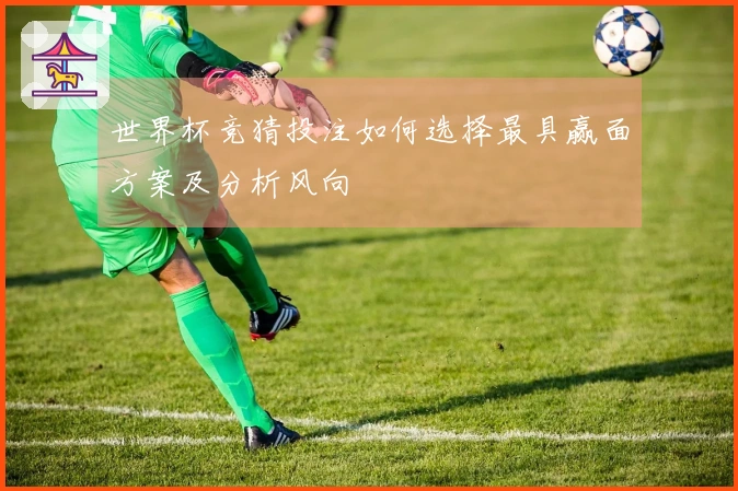 世界杯竞猜投注如何选择最具赢面方案及分析风向