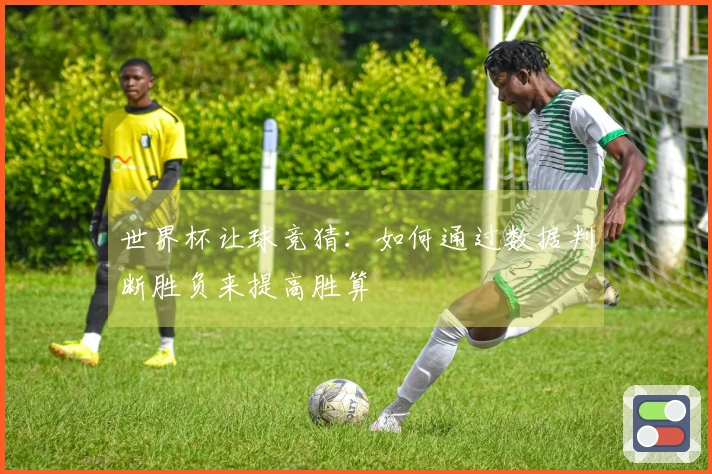 世界杯让球竞猜：如何通过数据判断胜负来提高胜算