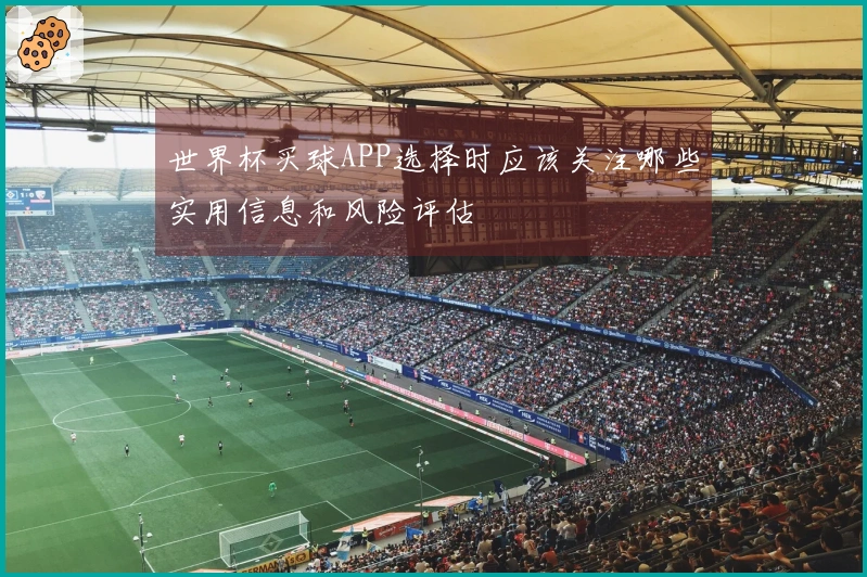 世界杯买球APP选择时应该关注哪些实用信息和风险评估