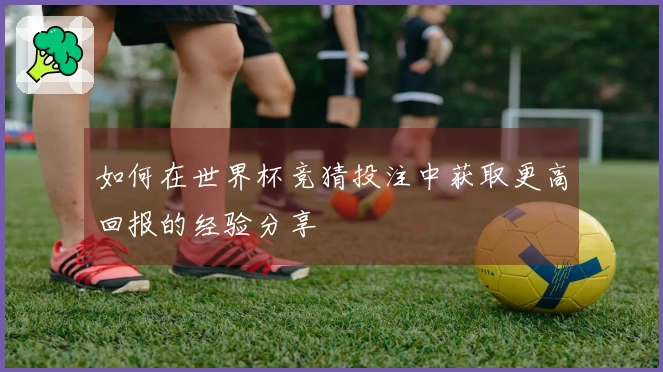 如何在世界杯竞猜投注中获取更高回报的经验分享