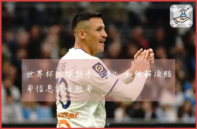 世界杯买球新手必看：如何解读赔率信息提升胜率