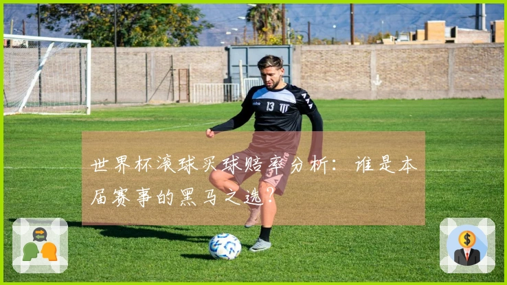 世界杯滚球买球赔率分析：谁是本届赛事的黑马之选？