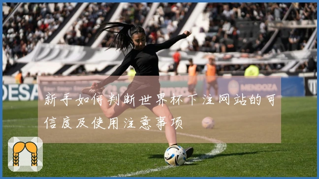 新手如何判断世界杯下注网站的可信度及使用注意事项