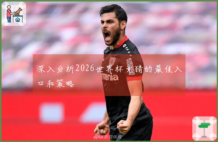 深入分析2026世界杯竞猜的最佳入口和策略