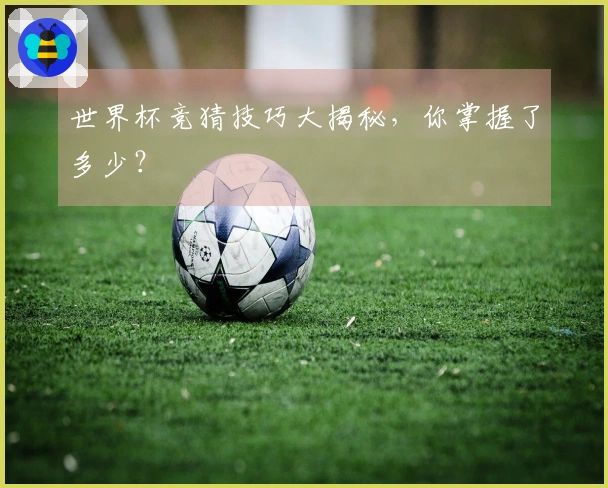 世界杯竞猜技巧大揭秘，你掌握了多少？