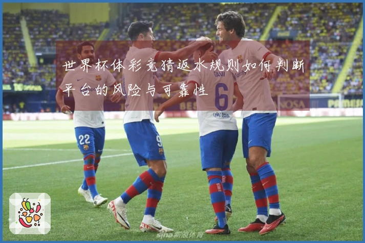世界杯体彩竞猜返水规则如何判断平台的风险与可靠性