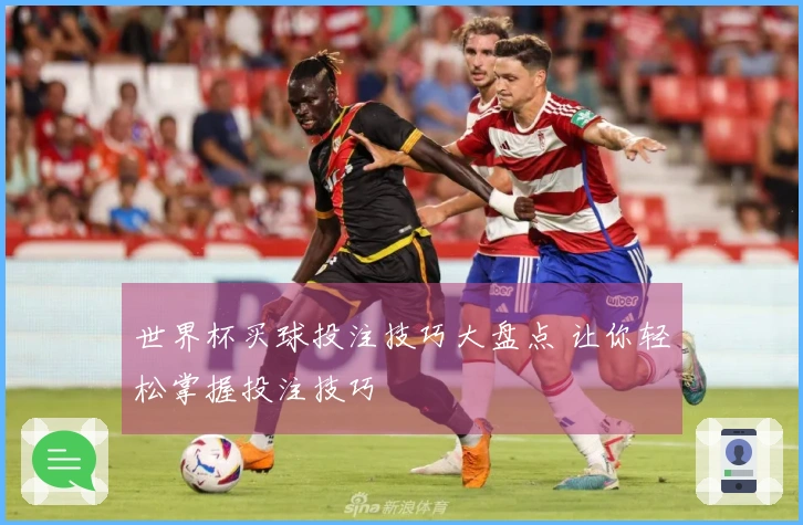 世界杯买球投注技巧大盘点 让你轻松掌握投注技巧