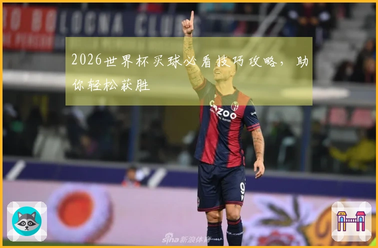 2026世界杯买球必看技巧攻略，助你轻松获胜