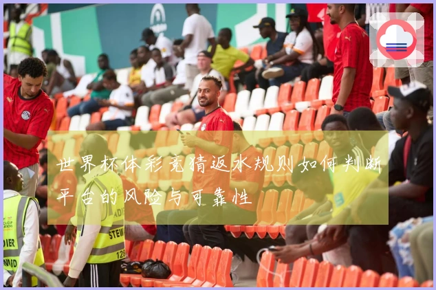 世界杯体彩竞猜返水规则如何判断平台的风险与可靠性