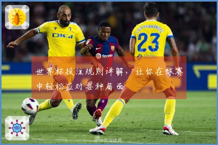 世界杯投注规则详解，让你在球赛中轻松应对各种局面