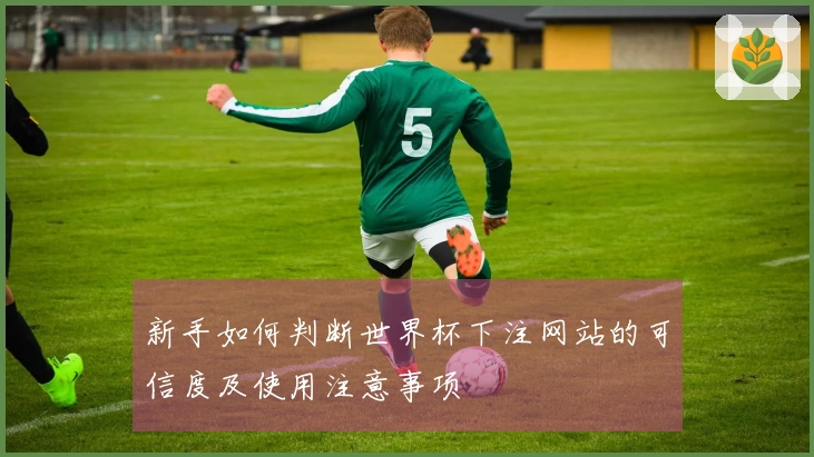 新手如何判断世界杯下注网站的可信度及使用注意事项