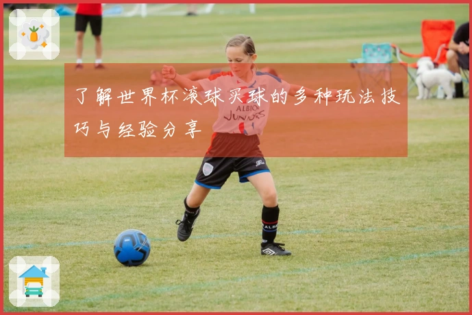 了解世界杯滚球买球的多种玩法技巧与经验分享