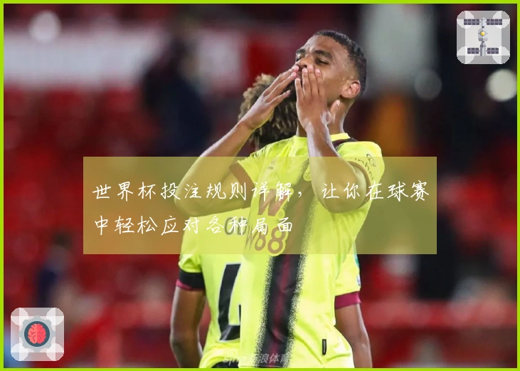 世界杯投注规则详解，让你在球赛中轻松应对各种局面