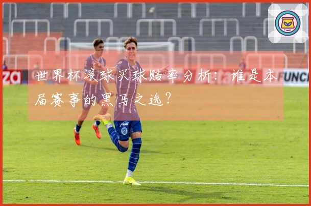世界杯滚球买球赔率分析：谁是本届赛事的黑马之选？