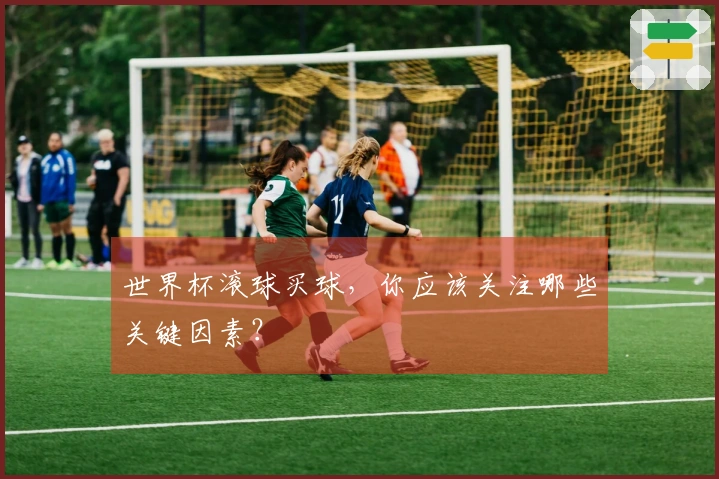 世界杯滚球买球，你应该关注哪些关键因素？