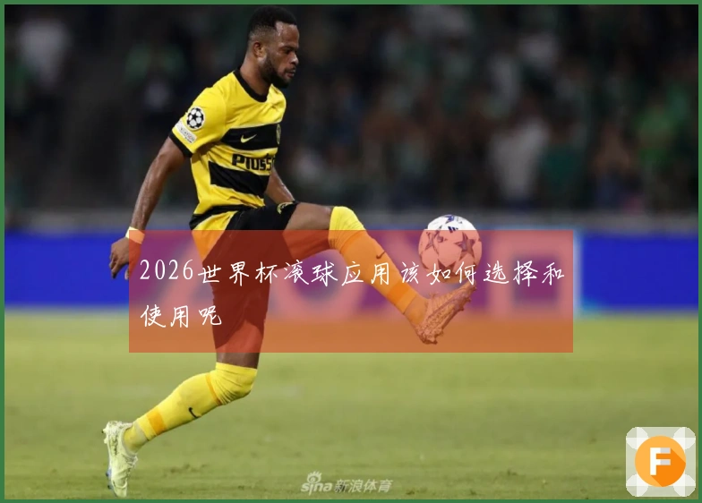 2026世界杯滚球应用该如何选择和使用呢