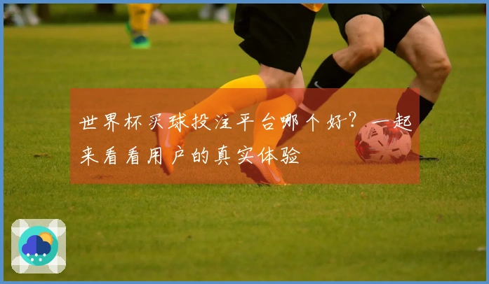 世界杯买球投注平台哪个好？一起来看看用户的真实体验