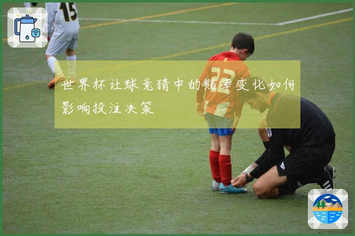 世界杯让球竞猜中的赔率变化如何影响投注决策