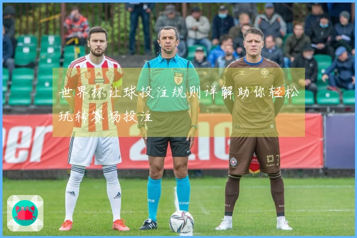 世界杯让球投注规则详解助你轻松玩转赛场投注