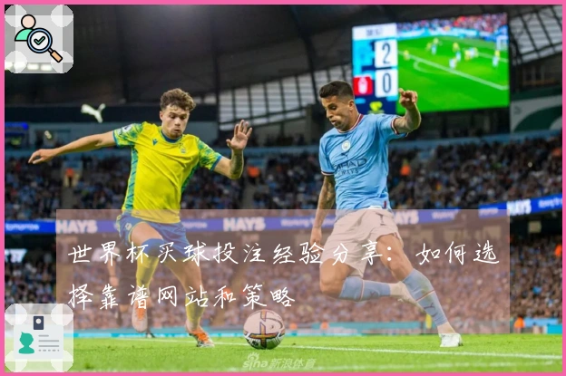 世界杯买球投注经验分享：如何选择靠谱网站和策略