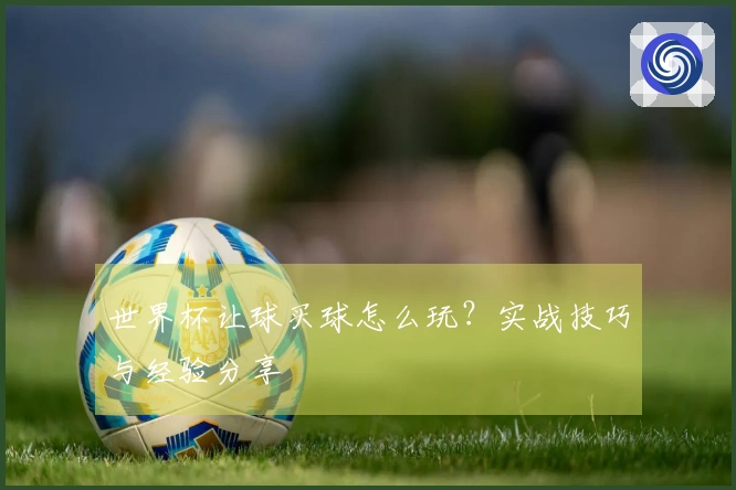 世界杯让球买球怎么玩？实战技巧与经验分享