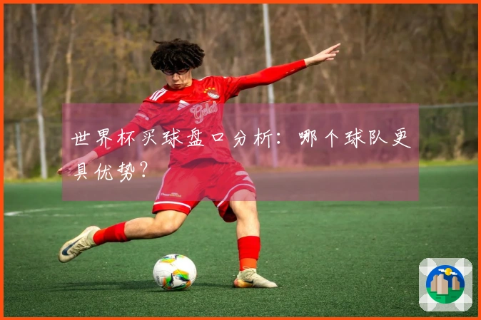世界杯买球盘口分析：哪个球队更具优势？