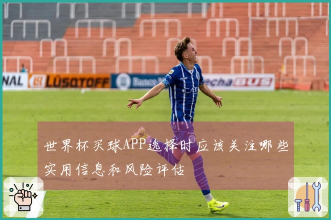 世界杯买球APP选择时应该关注哪些实用信息和风险评估
