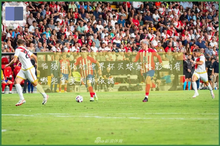 临场变化对世界杯买球策略影响有哪些重要判断依据